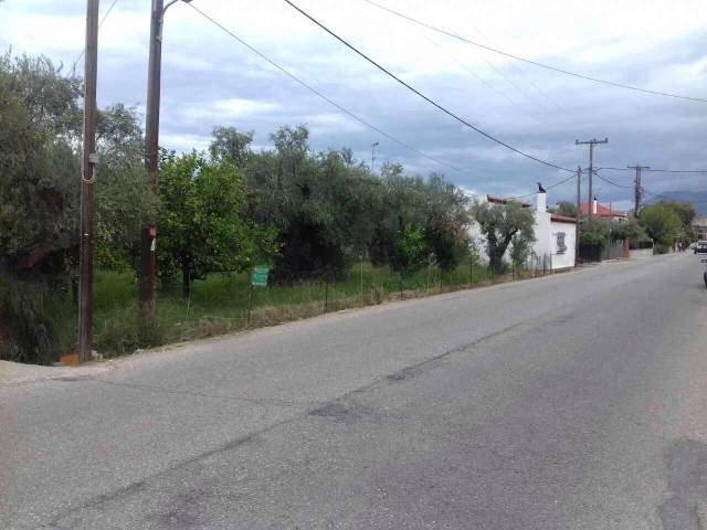 (For Sale) Land Plot wIthin Settlement || Achaia/Aigio - 4.220 Sq.m, 350.000€ 