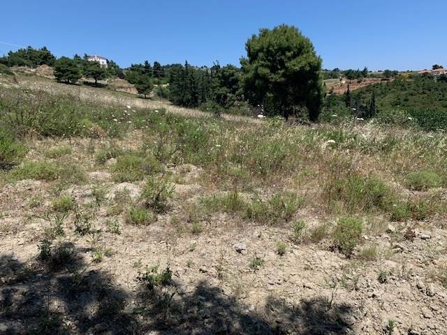 (For Sale) Land Plot wIthin Settlement || East Attica/Varnavas - 8.000 Sq.m, 100.000€ 