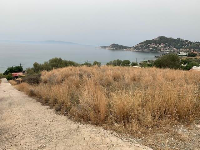 (Προς Πώληση) Αξιοποιήσιμη Γη Οικόπεδο || Πειραιάς/Σαλαμίνα - 600 τ.μ, 90.000€ 